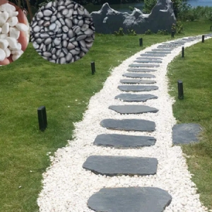 园林景观