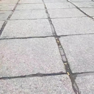 园林景观